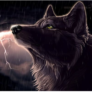 Mad'Cub
