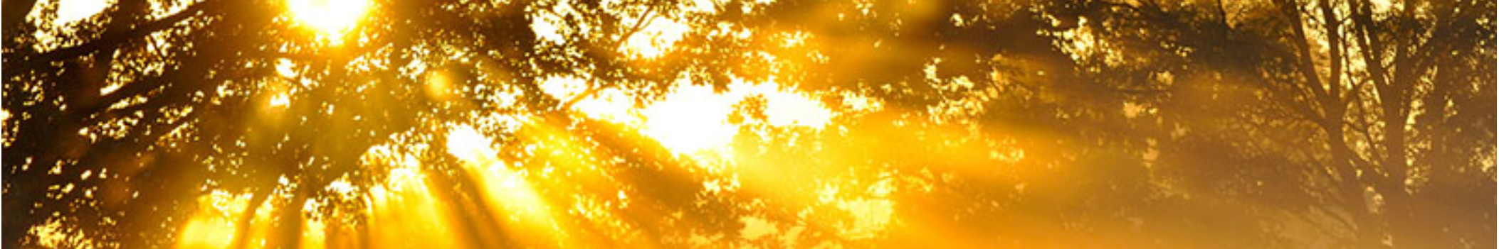 Tommy And
