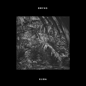 DRYNS