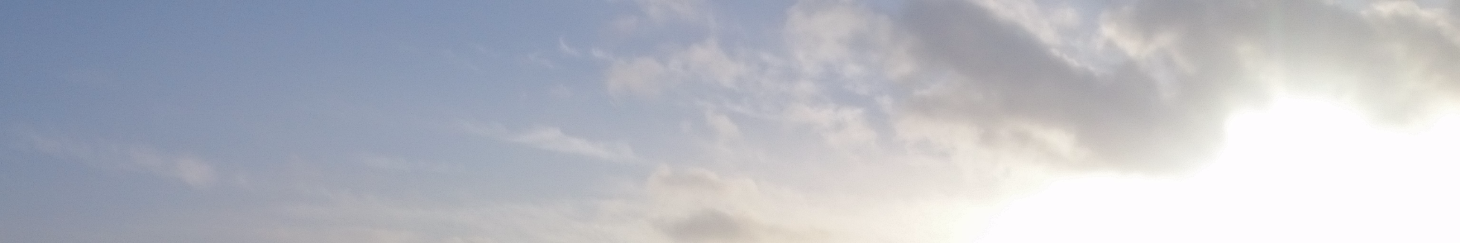 Misc