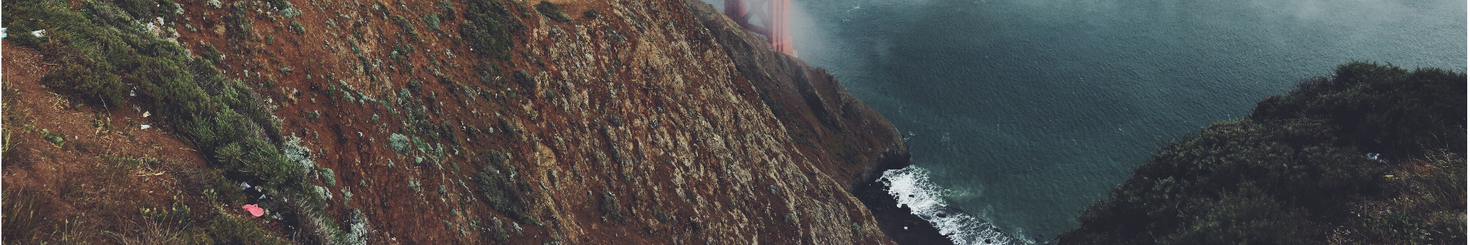 Aster_x